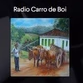 Radio Carro de Boi logo