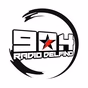 Radio Delfino logo