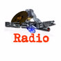 BIG SKI RADIO logo