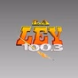 100.3 La Ley - KRQK logo