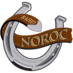 Radio Noroc logo