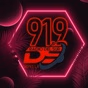 Radio Del Sur 91.9 logo