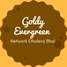 Goldy FM - Goldy Evergreen logo