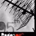 Rodon 95 FM logo