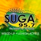 SUGA 95.7 FM Radio Station - WSGD-LP logo