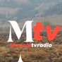 MusicalTVRadio logo