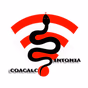 Zintonia Coacalco logo
