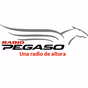 True Life In God Radio Chinese logo