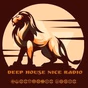 DEEP HOUSE NICE RADIO logo