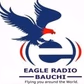 Eagle Radio Bauchi logo