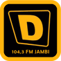 D Radio 104,3 FM logo