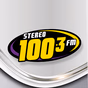 Stereo 100.3 FM - XHSD logo