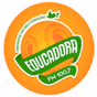 Rádio Educadora Santana FM logo