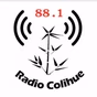 Radio Colihue 88.1 logo