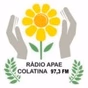 Rádio APAE FM logo