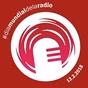 Radio Siruner FM logo