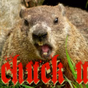 ChuckU Jukebox 50's logo