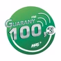 Guarany FM 100,3 logo