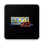 Skyy Power logo