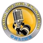 Radio Luz Del Evangelio logo