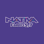 Nativa FM Chapecó logo