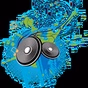 VFR logo