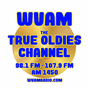 98.1 and 107.9 WVAM - W251CP logo