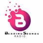 Bearing Sound Radio logo
