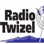 Radio Twizel 95.8FM logo
