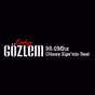 Radyo Gözlem logo
