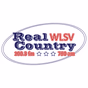 Real Country 100.3 FM & 790AM - WLSV logo