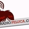 Radio Peluca logo