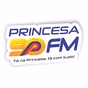 Princesa 90 FM logo