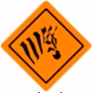 Zebrádió logo
