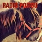 Radio Poitou logo