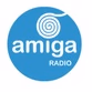 Amiga Radio Nerja 101.8 logo