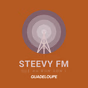 Steevy FM logo