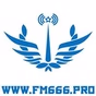 FM 666 logo