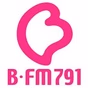 B-FM791 logo
