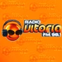 Radio Vitoria FM logo