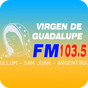 FM Virgen de Guadalupe logo