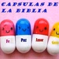 Capsulas de la Biblia logo