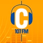 Radio 107 - Radio 107 Sputnik FM logo