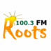 Roots FM 100.3 logo