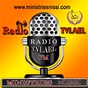Radio TVLael logo