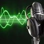 Radio Manerba International logo