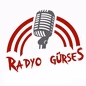 Radyo Gürses logo