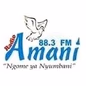 Radio Amani 88.3 FM logo