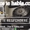 Dios te habla.com logo