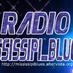 Radio Mississipi_Blues logo